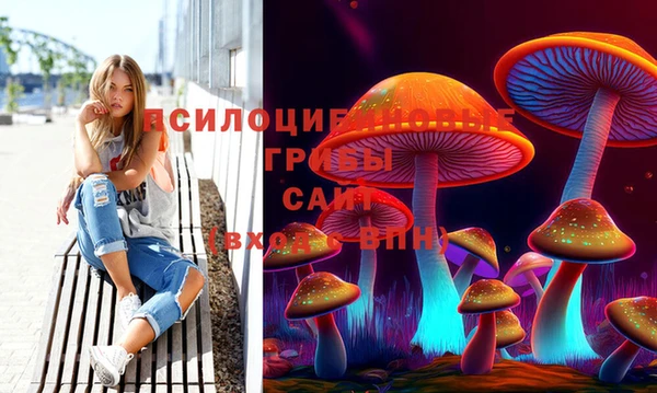 PSILOCYBIN Алзамай