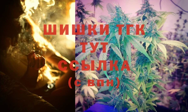 PSILOCYBIN Алзамай