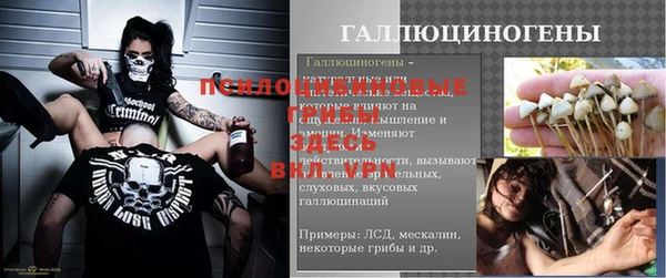 МДПВ Алексин