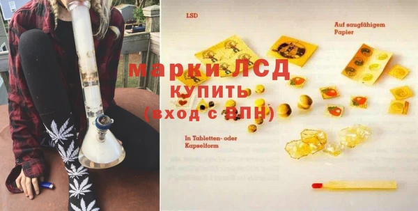 PSILOCYBIN Алзамай