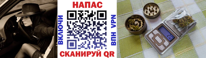 купить закладку  Электрогорск  Бошки марихуана индика 